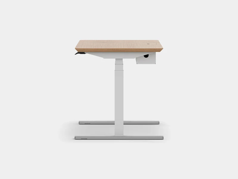 Standing Desk Pro Bundle