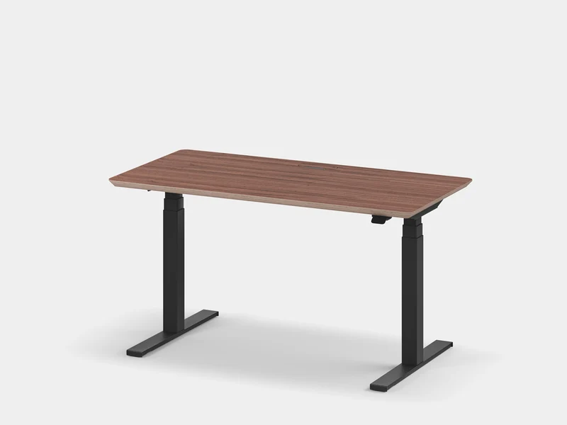 Standing Desk Pro Bundle