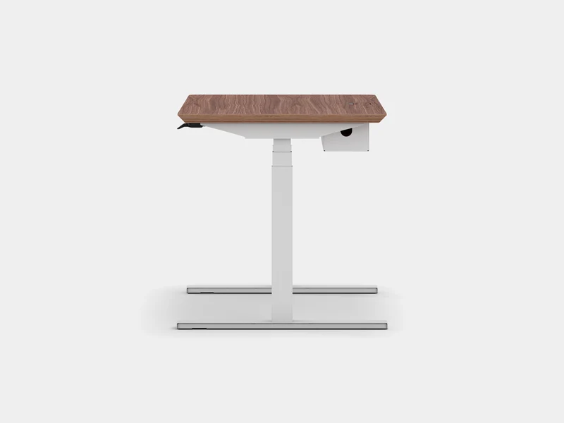 Standing Desk Pro Bundle