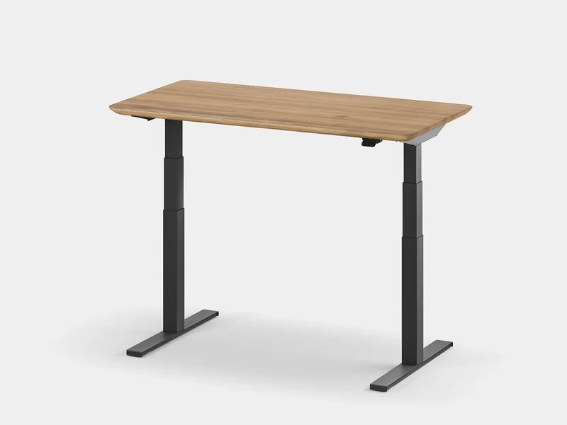 Standing Desk Pro