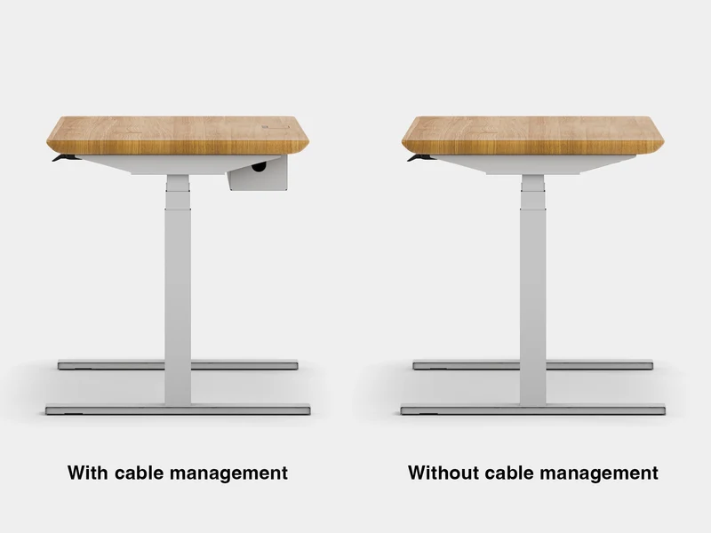 Standing Desk Pro