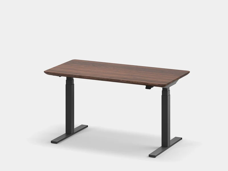Standing Desk Pro