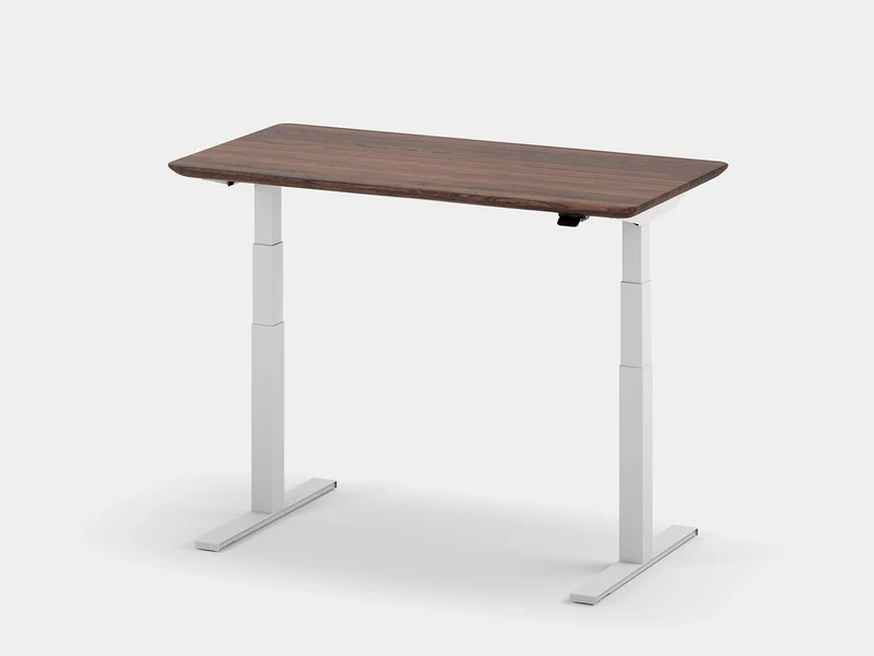 Standing Desk Pro
