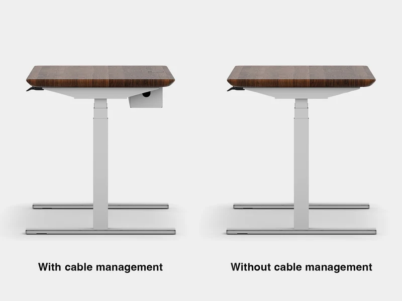 Standing Desk Pro