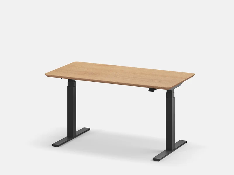 Standing Desk Pro