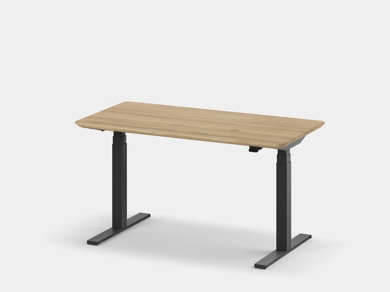 Standing Desk Pro