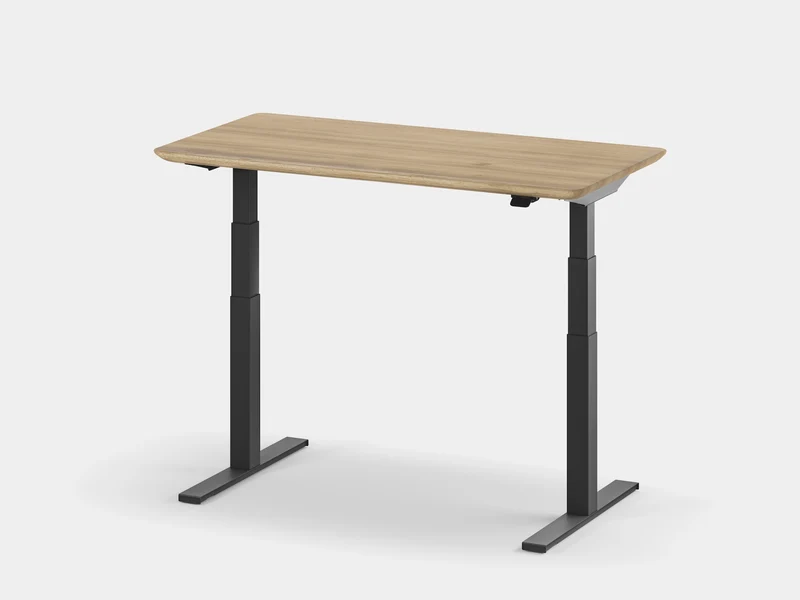 Standing Desk Pro