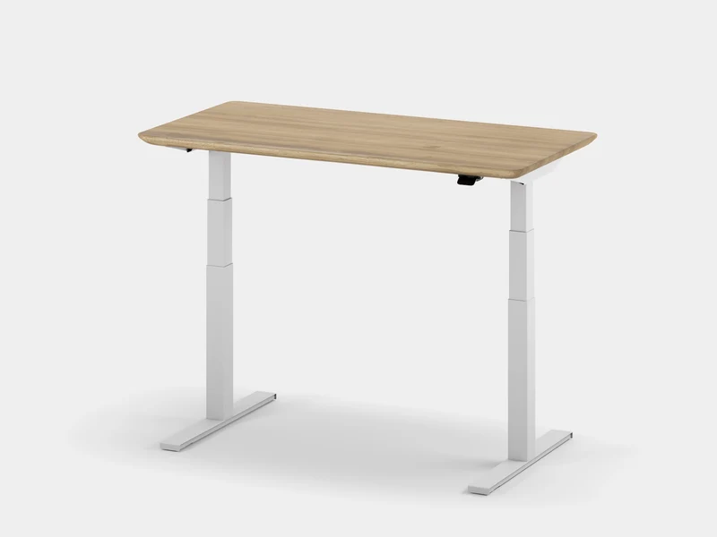 Standing Desk Pro