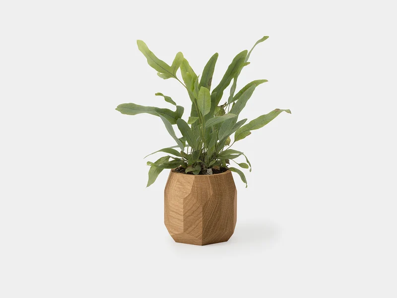 Geometric Pot