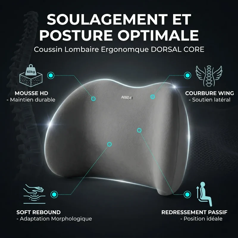 Coussin Lombaire Ergonomique Dorsal Core | Mousse à Mémoire de Forme HD - Soulagement & Correction Posturale