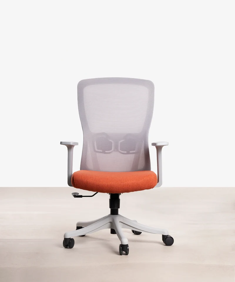 Silla Oficina Ergonómica de Nylon Sage