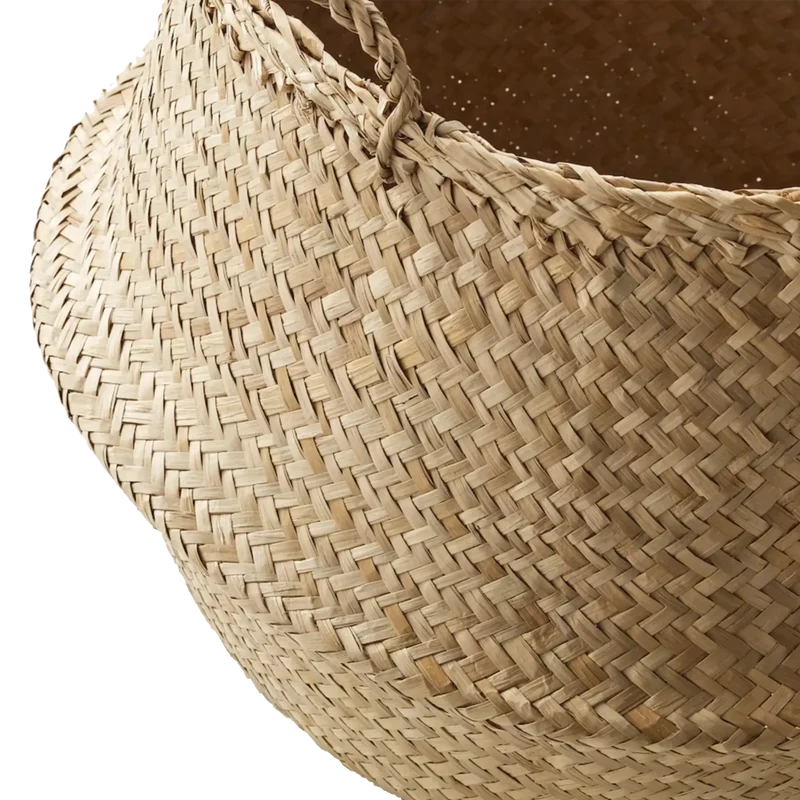 Cesto Montana