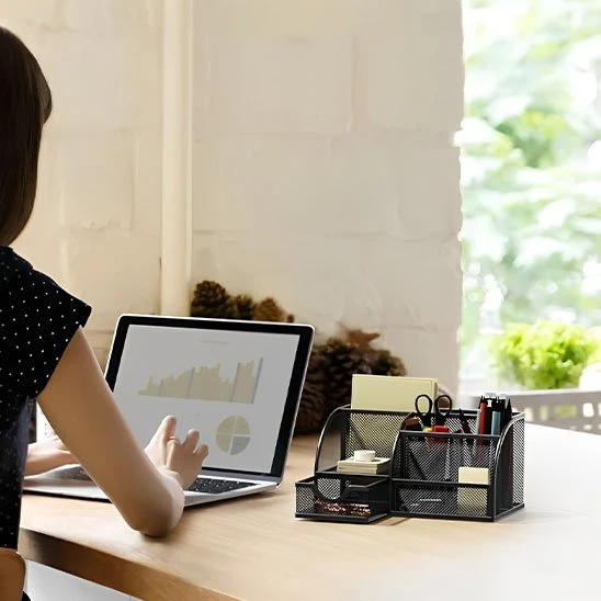 Organiseur de bureau - OrganiMesh™