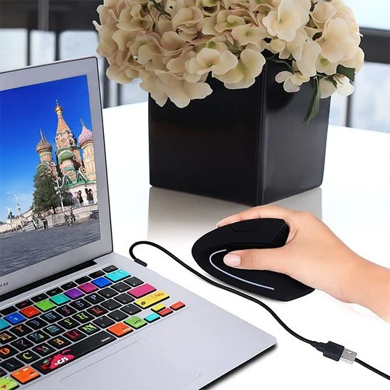 Souris ergonomique - ErgoPulse™