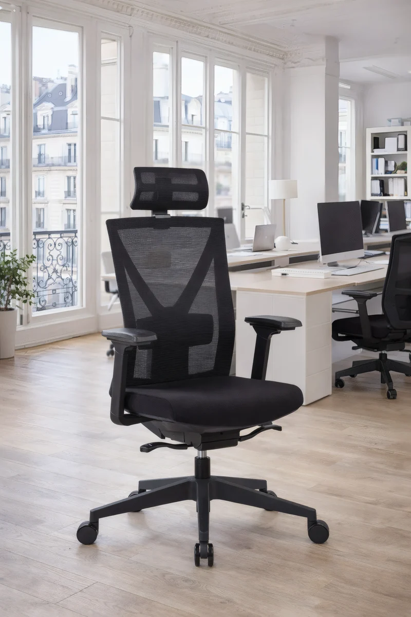 Fauteuil basculant Auriga avec têtière