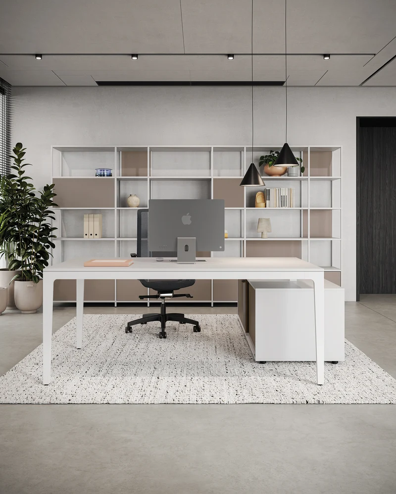 Bureau de direction ALPLUS