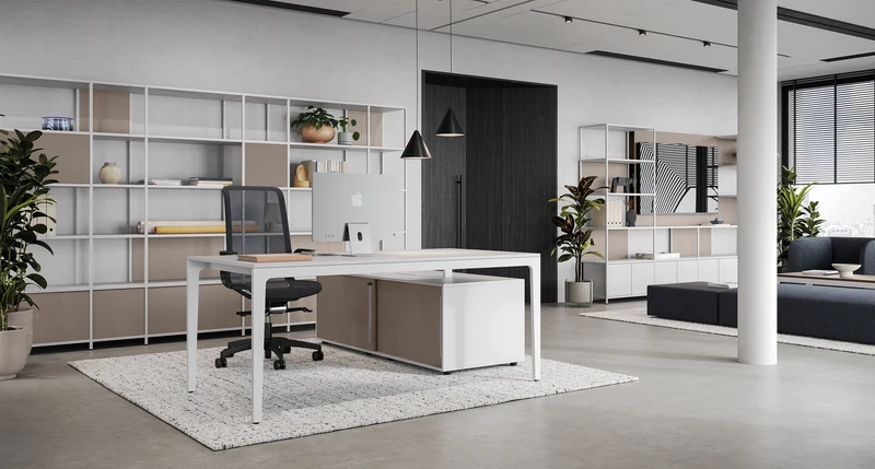 Bureau de direction ALPLUS