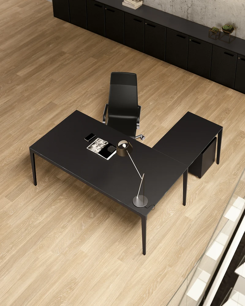 Bureau de direction ALPLUS