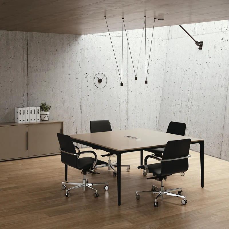 Bureau de direction ALPLUS