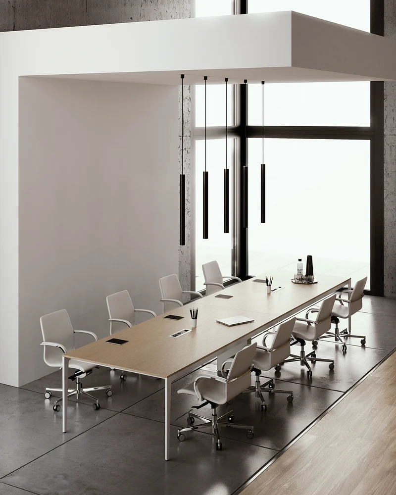 Bureau de direction ALPLUS
