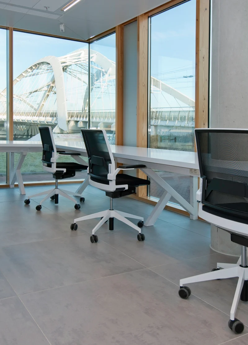 Fauteuil ergonomique DIS