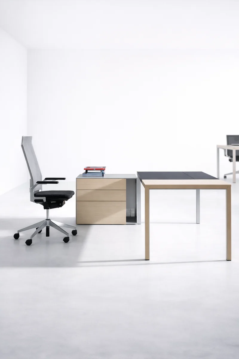 Neta Executive