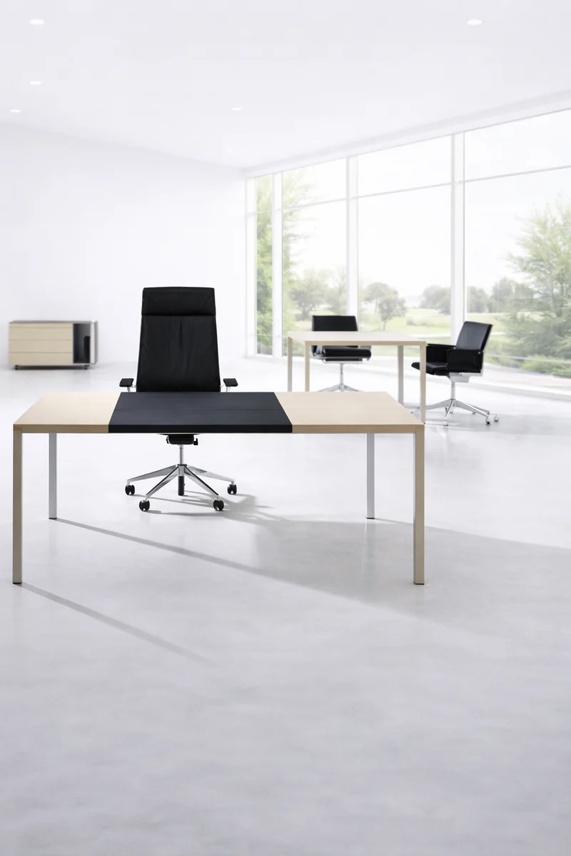 Neta Executive