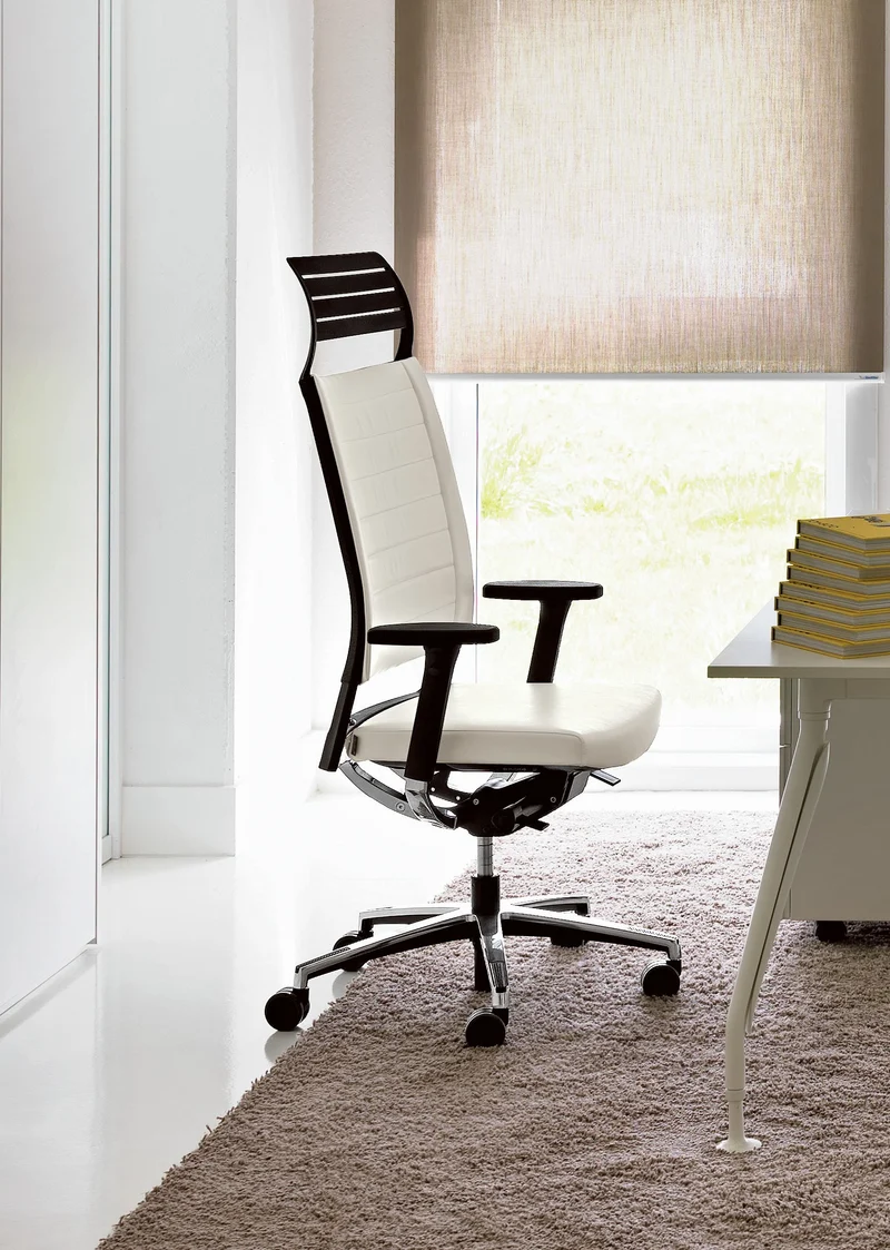 Fauteuil ergonomique Graphic