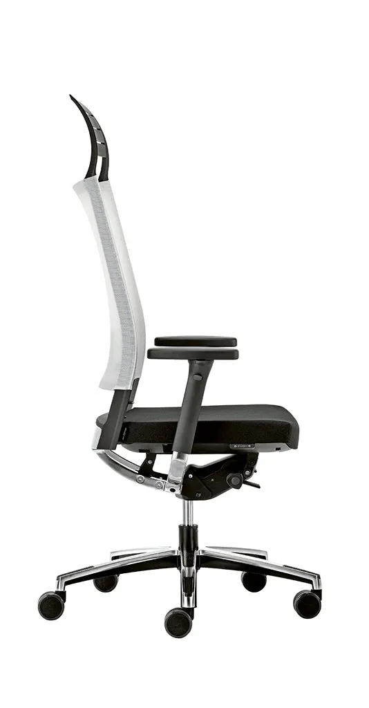 Fauteuil ergonomique Graphic