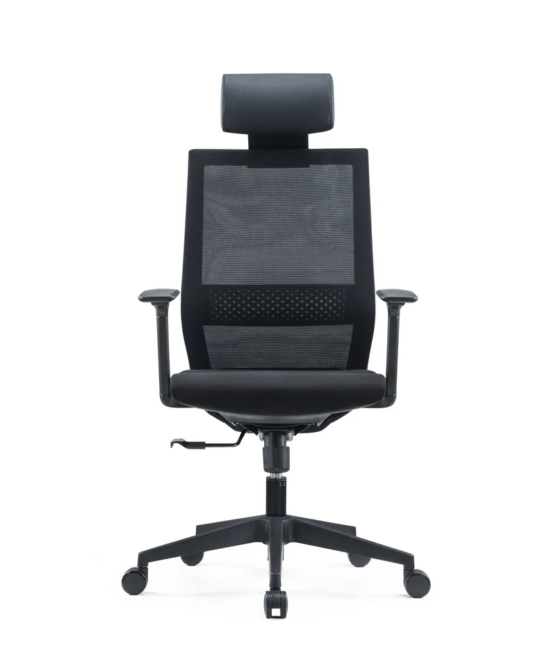Fauteuil ergonomique Dragon