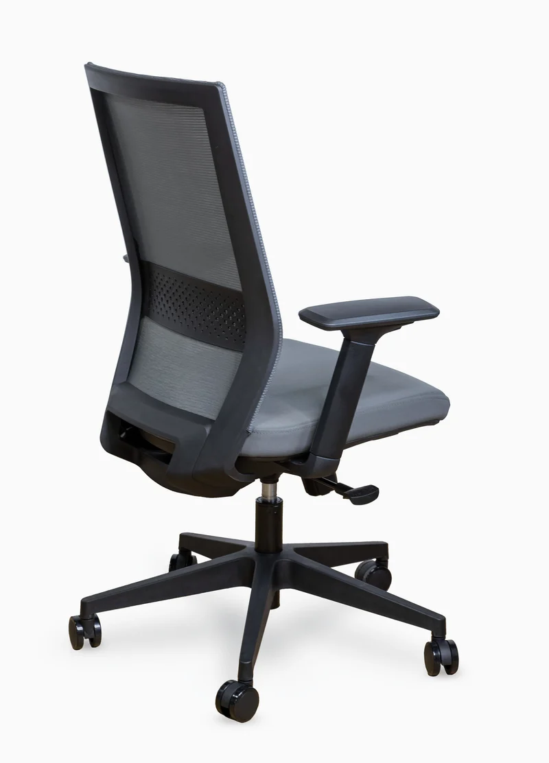 Fauteuil ergonomique Dragon