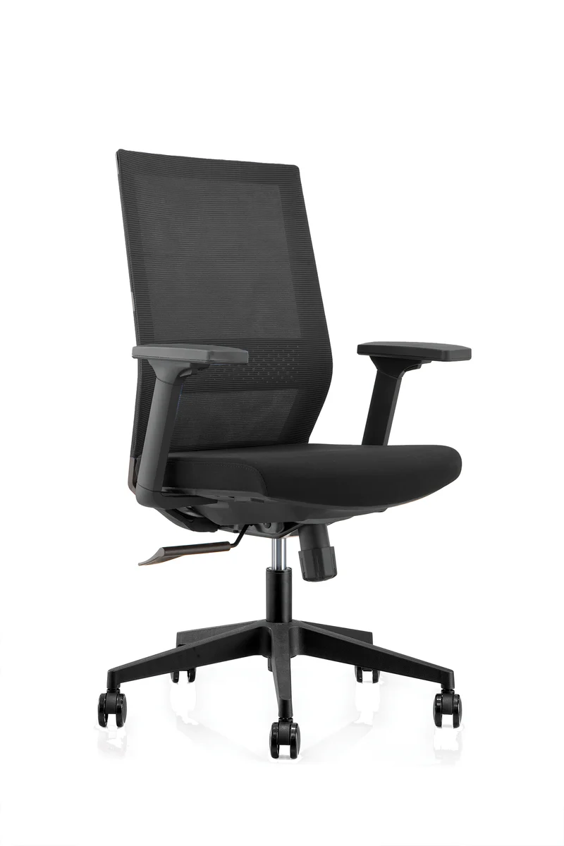 Fauteuil ergonomique Dragon