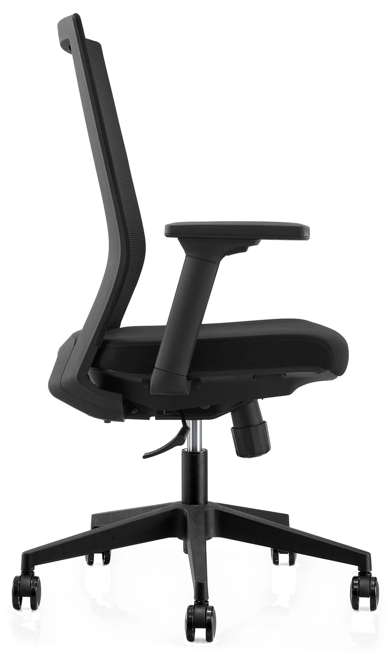 Fauteuil ergonomique Dragon
