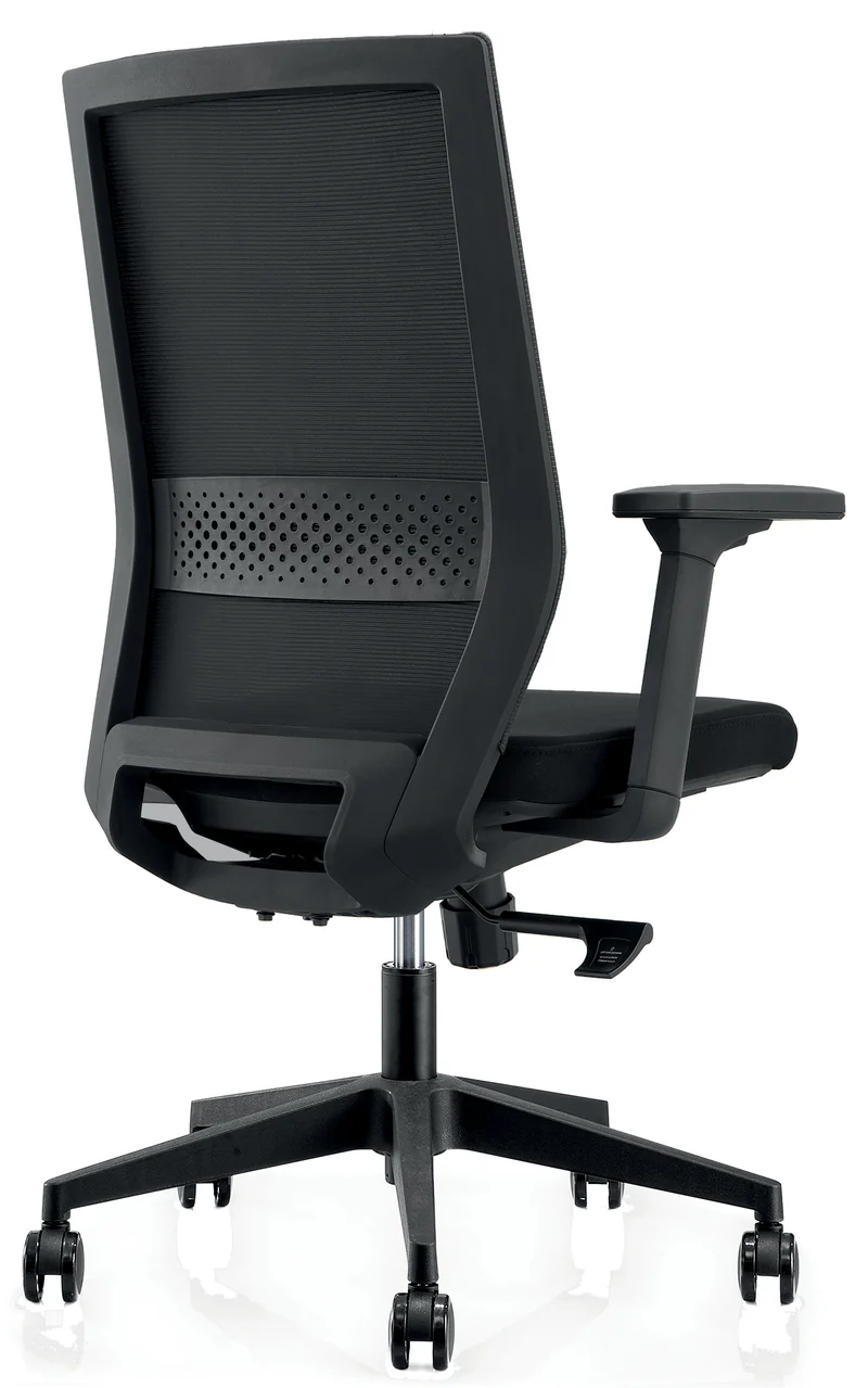 Fauteuil ergonomique Dragon