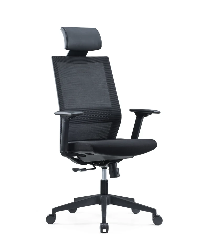 Fauteuil ergonomique Dragon