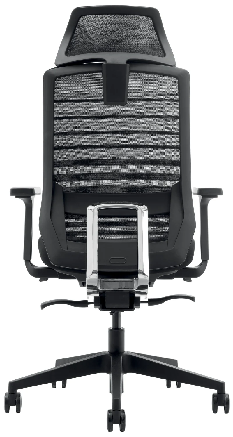 Fauteuil ergonomique CARINA