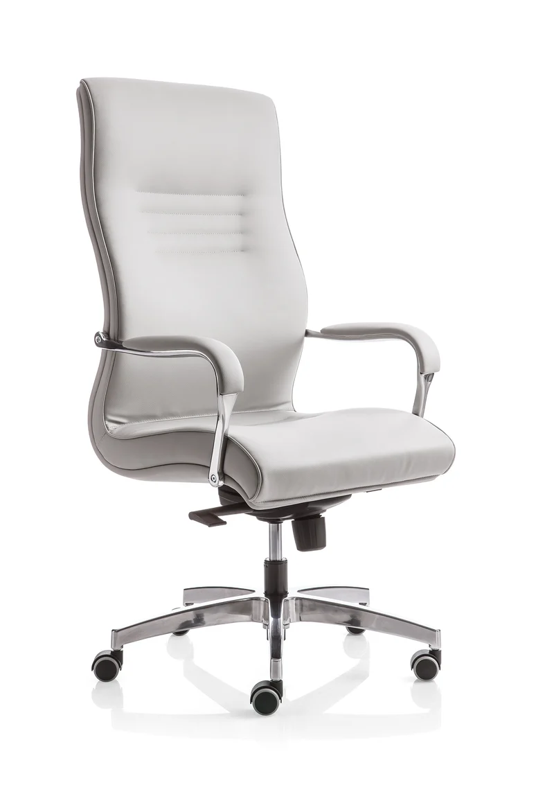 Fauteuil de direction Antagonista