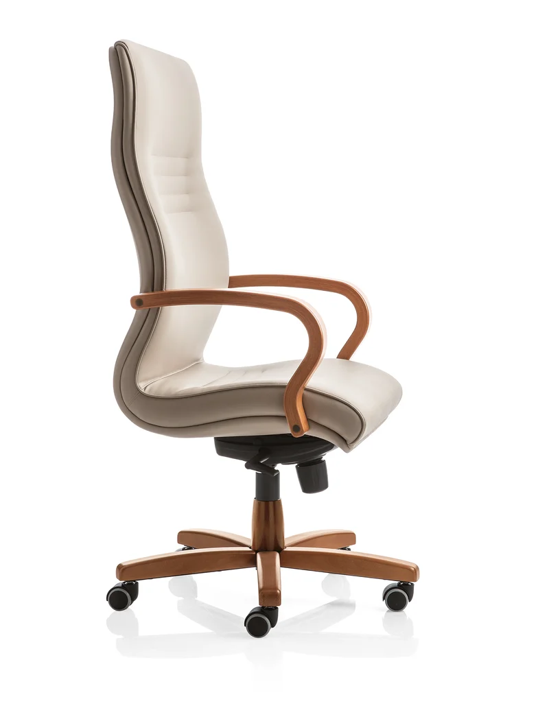 Fauteuil de direction Antagonista