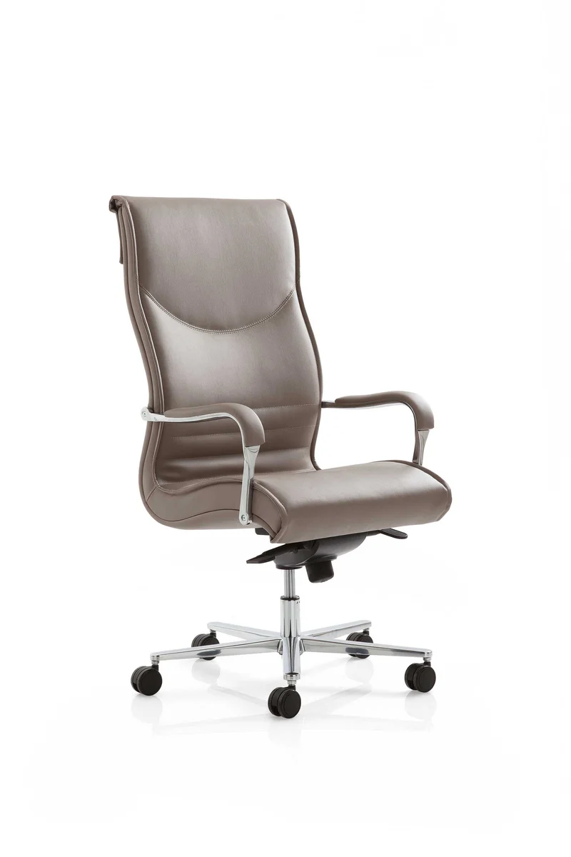 Fauteuil de direction Pulchra