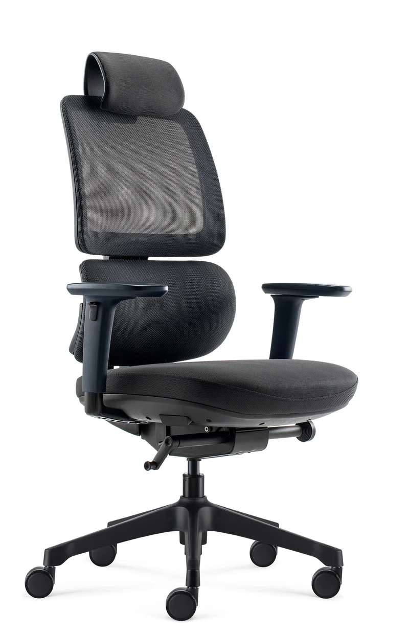 Fauteuil ergonomique Ursa synchrone 3D