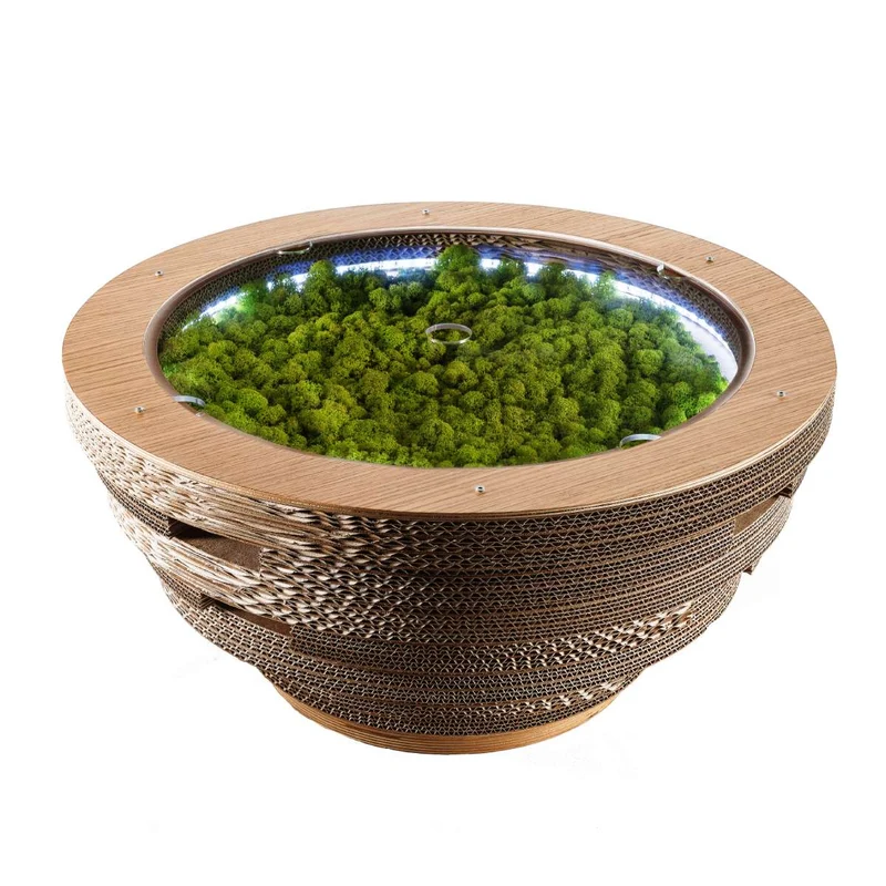 Cardboard and Wood Coffee Table TAPPO CON LICHENI XL