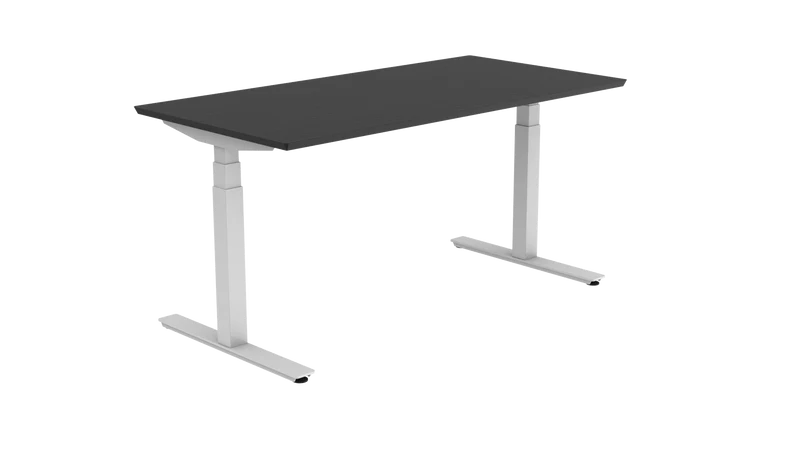 25 % Lageraktion Steh-Sitztischgestell Freestand P2000