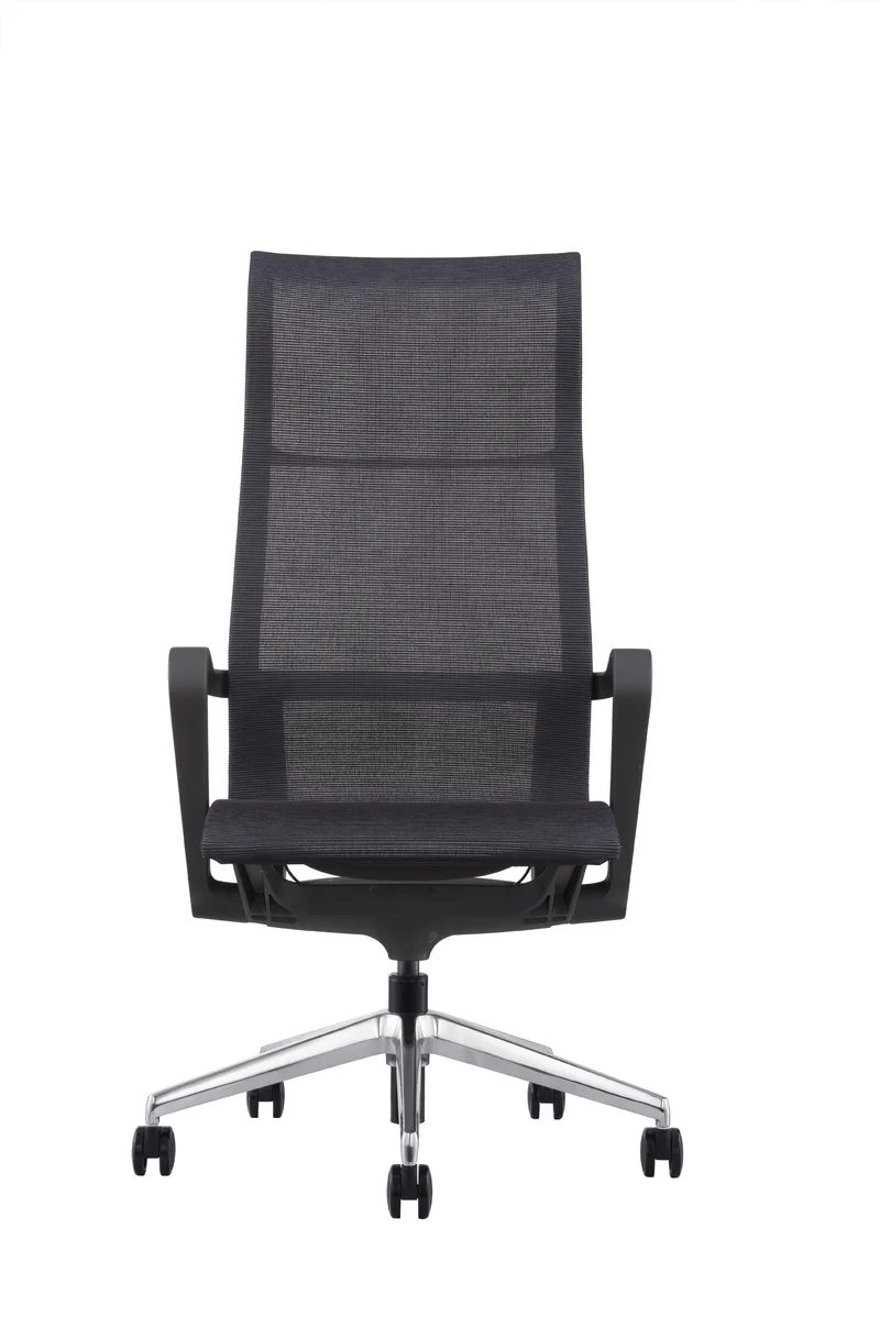 Fauteuil ergo synchrone Ara dossier haut têtière
