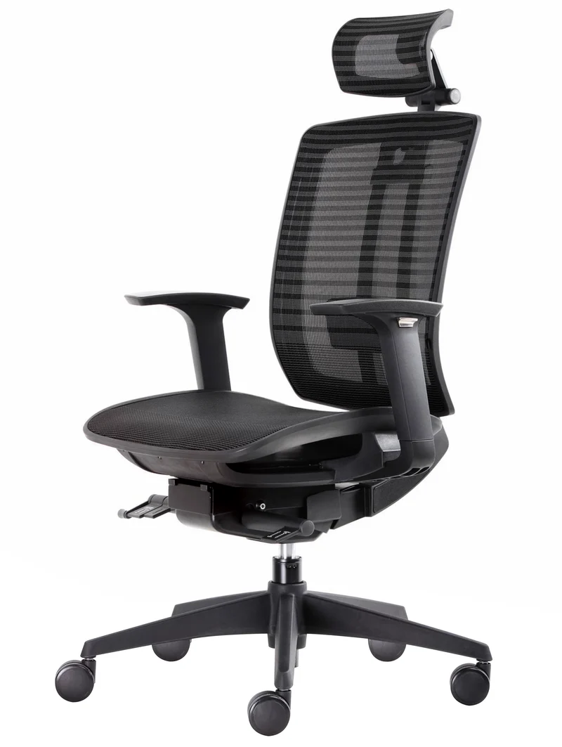 Fauteuil Ergonomique Sagitta Synchrone Donati Pro