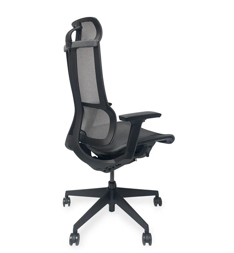Fauteuil de bureau ergo Lyre synchrone 3D