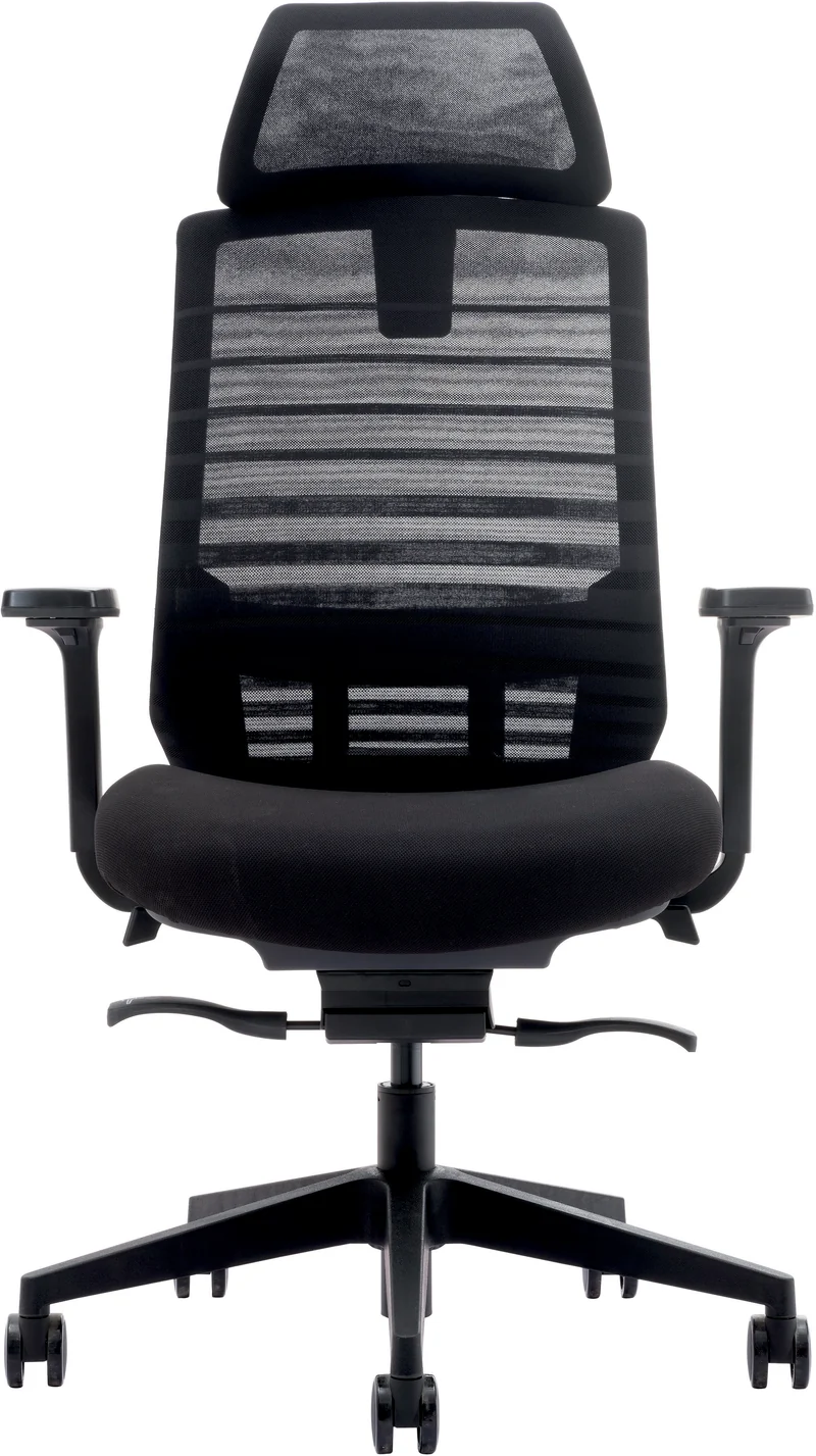 Fauteuil ergonomique Carina Synchrone 3D