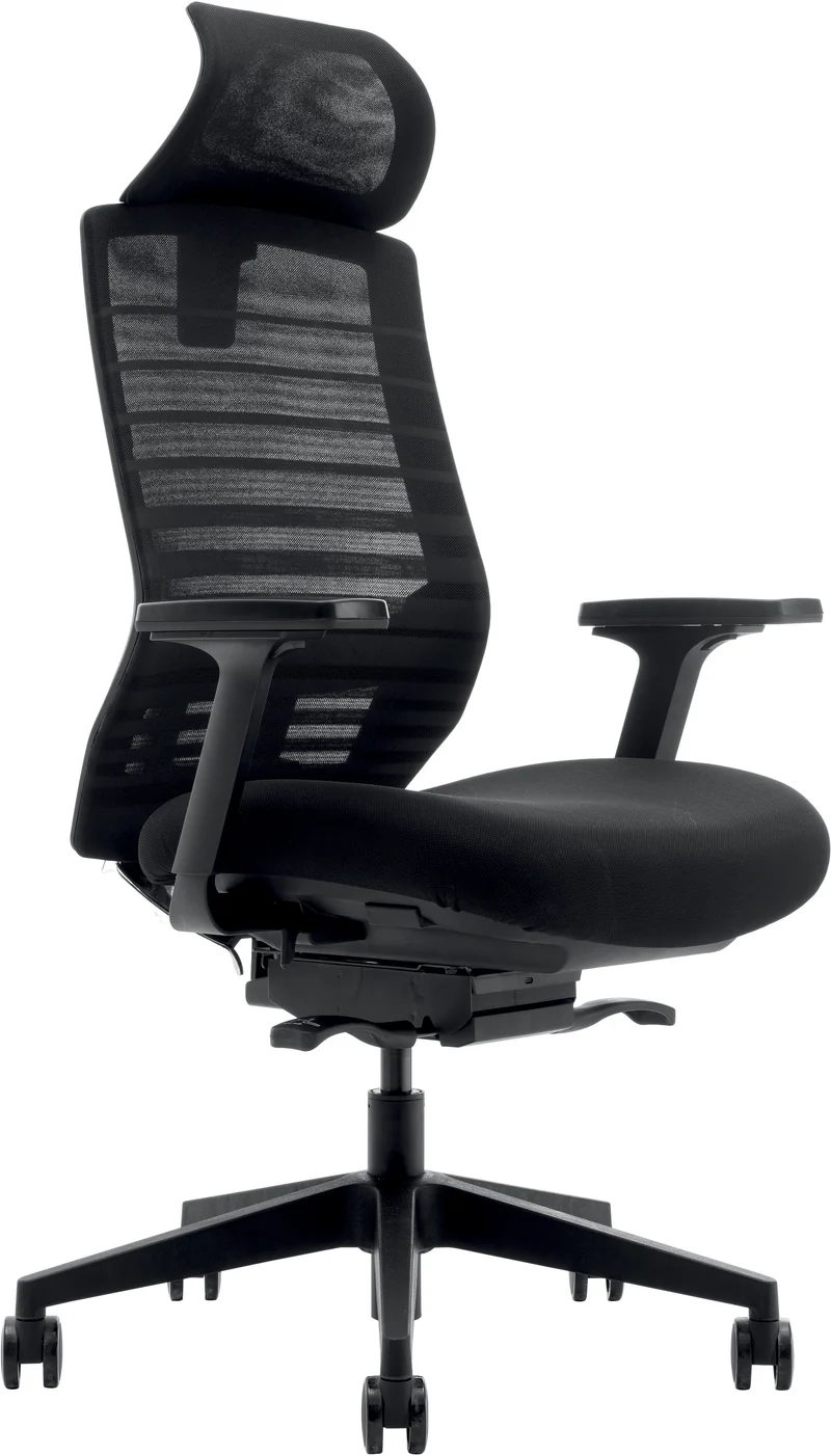 Fauteuil ergonomique Carina Synchrone 3D