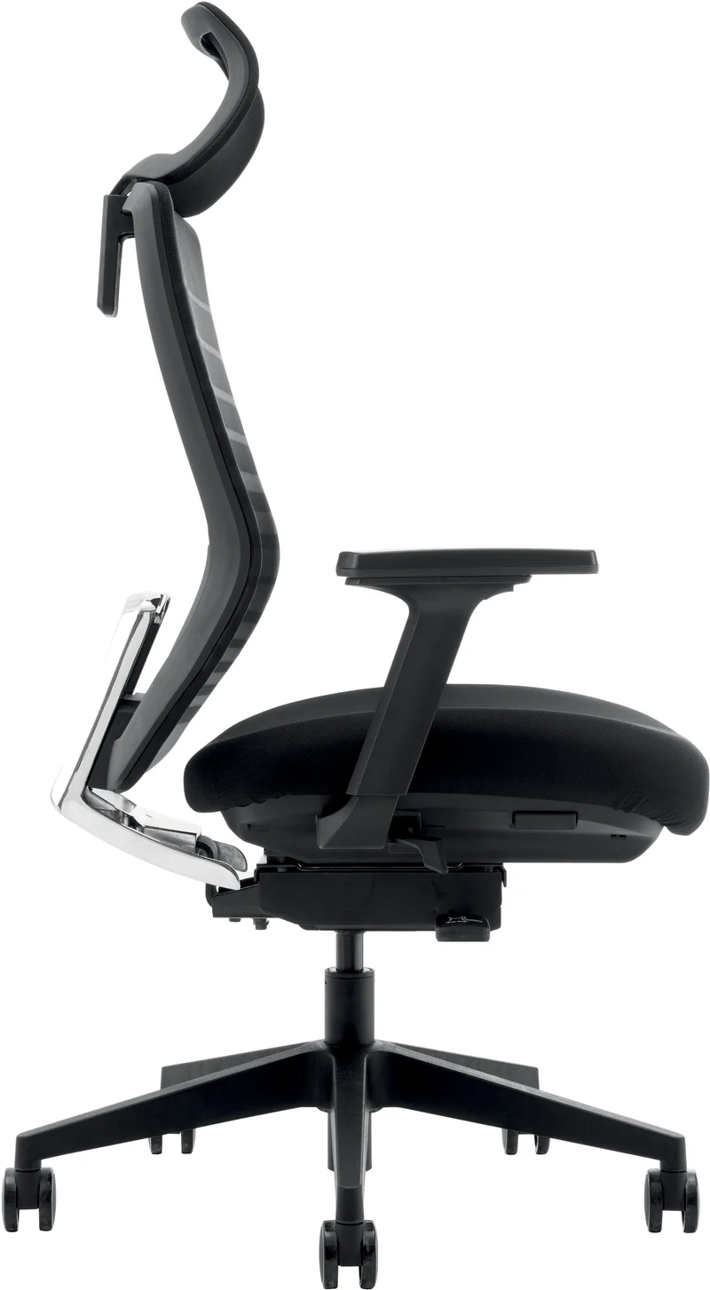 Fauteuil ergonomique Carina Synchrone 3D