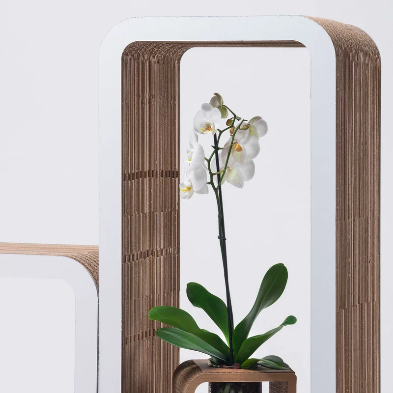 Modular Cardboard Bookshelf MORETTO N. 4