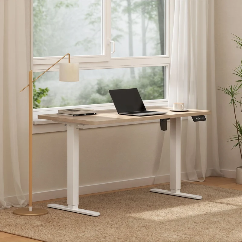 Economy Solid Bureau assis-debout électrique
